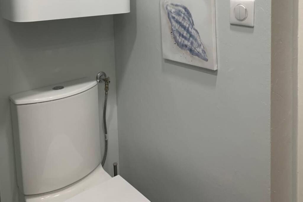 Joli Appartement Haut Standing En Hyper Centre Тулуза Экстерьер фото
