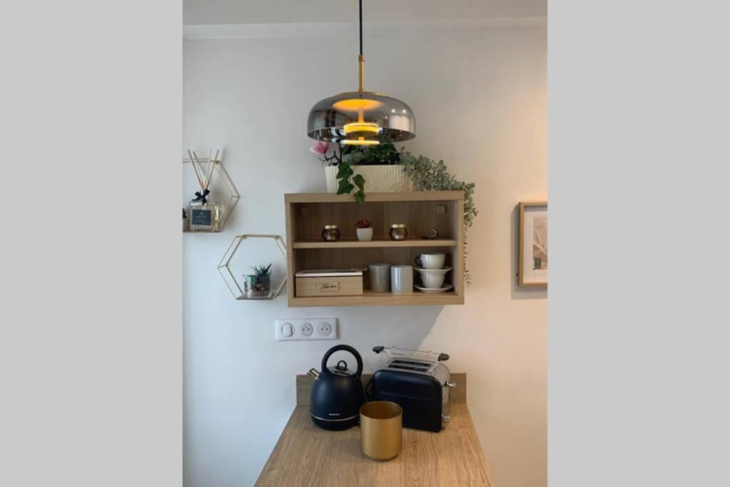 Joli Appartement Haut Standing En Hyper Centre Тулуза Экстерьер фото